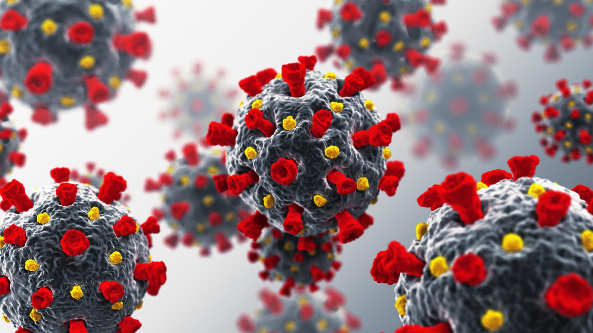 COVID-19 virus