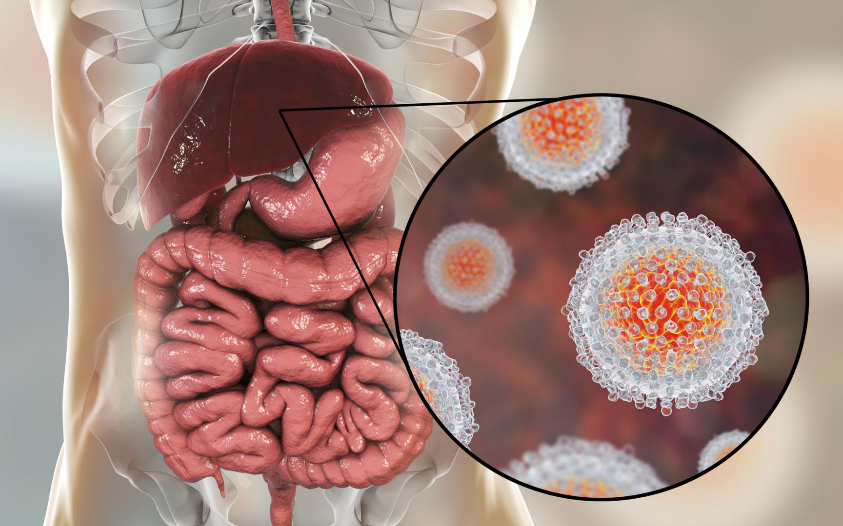 Inside of human body