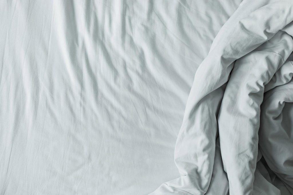 Bed Bug