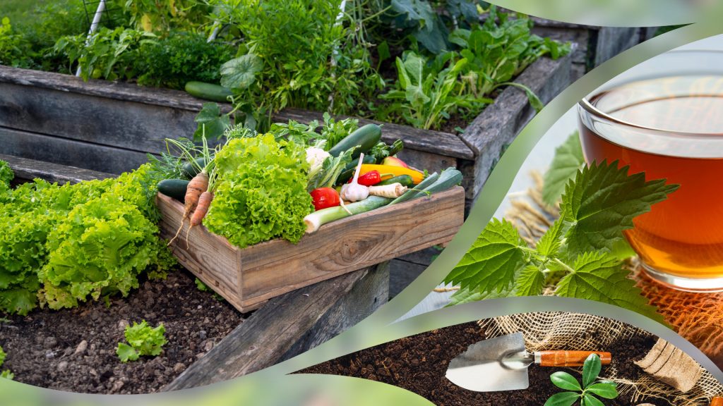 Gardening Event - Tea and Seeds